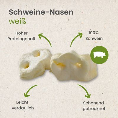 Kauartikel.com Schweine-Nasen, weiß