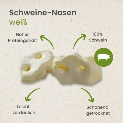 Kauartikel.com Schweine-Nasen, weiß