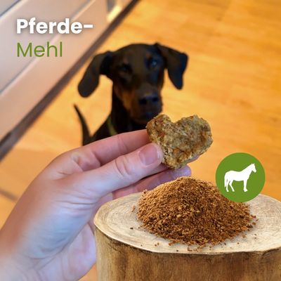 Kauartikel.com Pferde-Fleisch getrocknet und gemahlen
