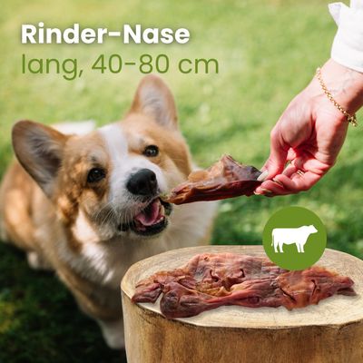 Kauartikel.com Rinder-Nase, lang 40-80cm