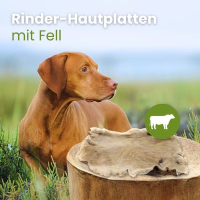 Kauartikel.com Rinder-Hautplatten mit Fell