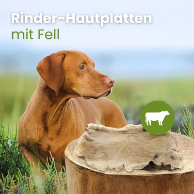 Kauartikel.com Rinder-Hautplatten mit Fell