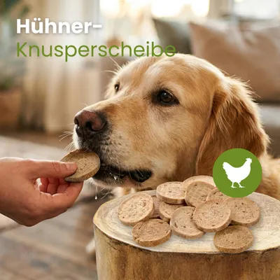 Kauartikel Hühner-Knusperscheibe Kauartikel Hühner-Knusperscheibe
