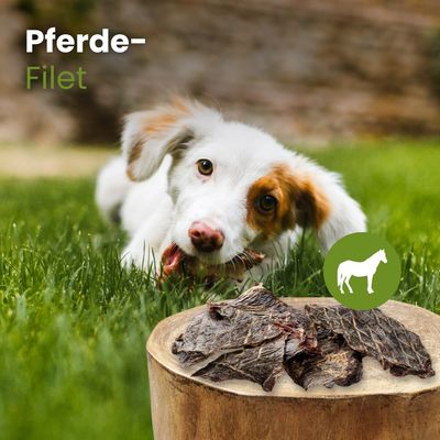 Kauartikel.com Pferde-Filet