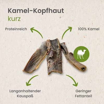 Kauartikel.com Kamel-Kopfhaut,kurz