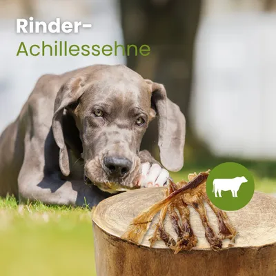 Kauartikel.com Rinder-Achillessehne Kauartikel.com Rinder-Achillessehne