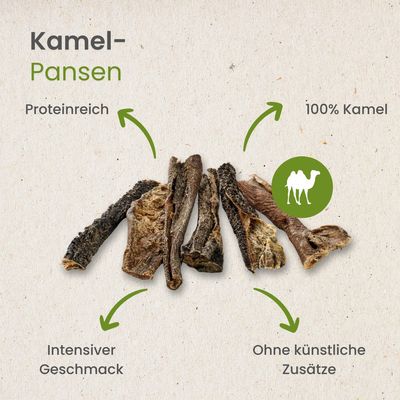 Kauartikel.com Kamel-Pansen