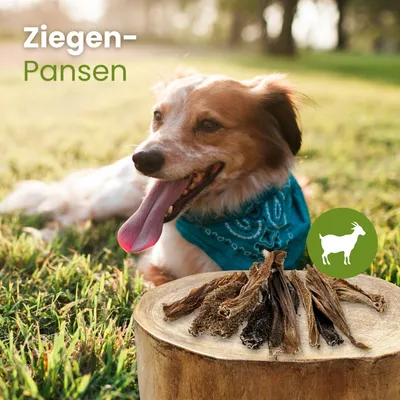 Kauartikel.com Ziegen-Pansen