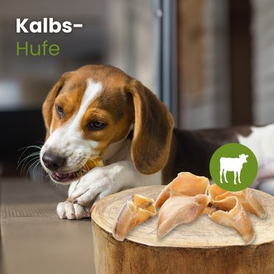 Kauartikel.com Kalbs-Hufe