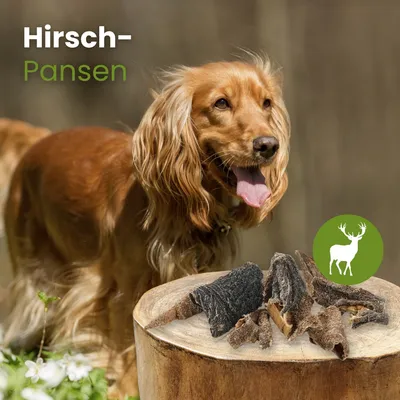 Kauartikel.com Hirsch-Pansen
