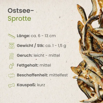 Kauartikel.com Ostsee-Sprotte
