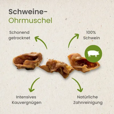 Kauartikel.com Schweine-Ohrmuschel