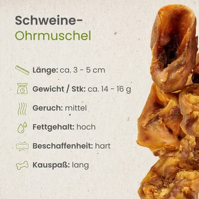 Kauartikel.com Schweine-Ohrmuschel