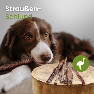 Kauartikel.com Straußen-Schlund
