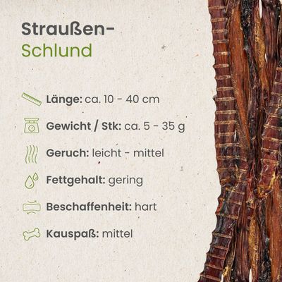 Kauartikel.com Straußen-Schlund