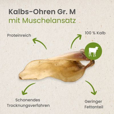 Kauartikel.com Kalbs-Ohren Gr. M mit Muschelansatz