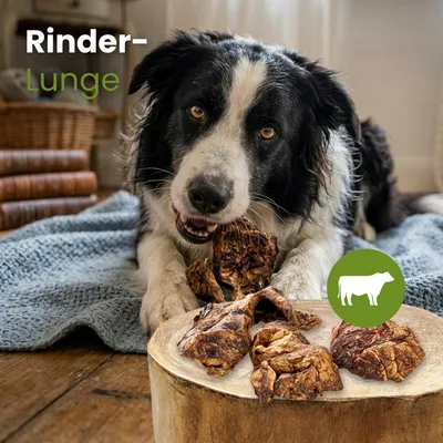Kauartikel.com Rinder-Lunge