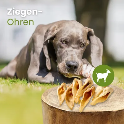 Kauartikel.com Ziegen-Ohren