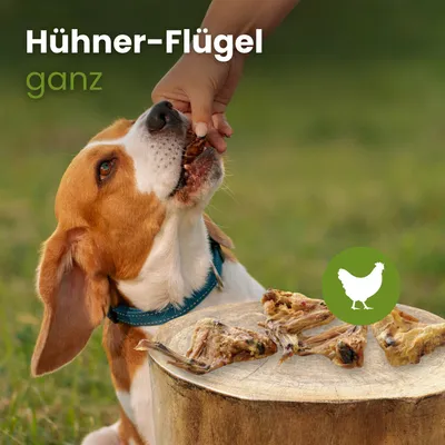 Kauartikel.com Hühner-Flügel, ganz Kauartikel.com Hühner-Flügel, ganz