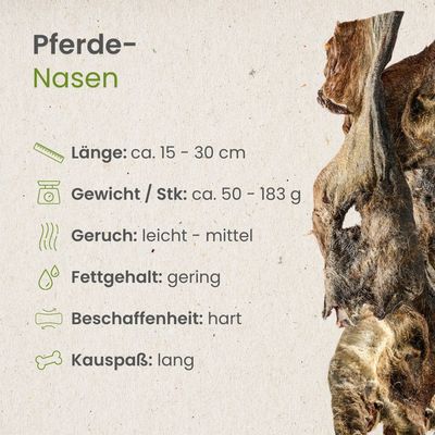 Kauartikel.com Pferde-Nasen