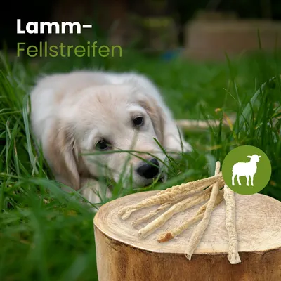 Kauartikel.com Lamm-Fellstreifen