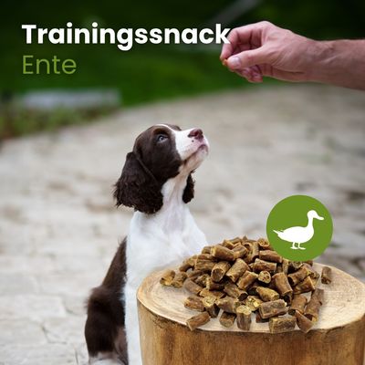 Kauartikel.com Enten-Sticks-Trainingssnack