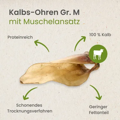Kauartikel.com Kalbs-Ohren Gr. M mit Muschelansatz Kauartikel.com Kalbs-Ohren Gr. M mit Muschelansatz
