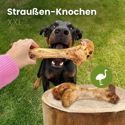 Kauartikel.com Straußen-Knochen XXL