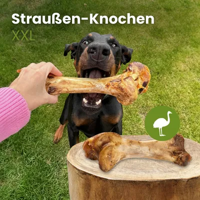 Kauartikel.com Straußen-Knochen XXL