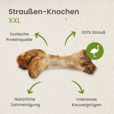 Kauartikel.com Straußen-Knochen XXL