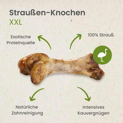 Kauartikel.com Straußen-Knochen XXL