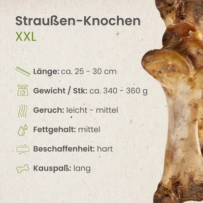 Kauartikel.com Straußen-Knochen XXL