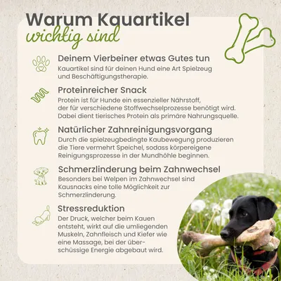 Kauartikel.com Hühner-Kauknochen