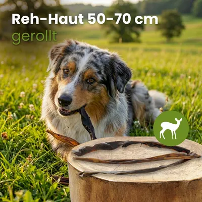 Kauartikel.com Reh-Haut 50-70cm, gerollt