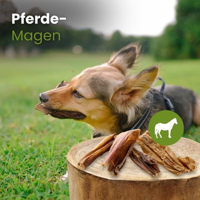 Kauartikel.com Pferde-Magen