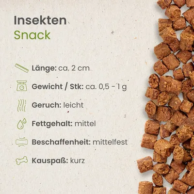 Kauartikel.com Insekten Snack
