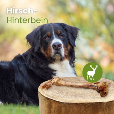 Kauartikel.com Hirsch-Hinterbein