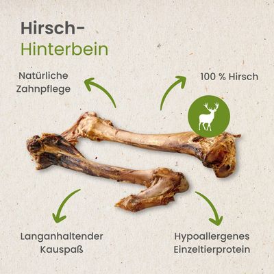 Kauartikel.com Hirsch-Hinterbein