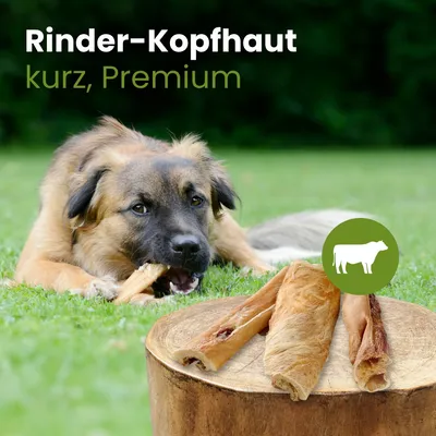 Kauartikel.com Rinder-Kopfhaut, kurz Premium Kauartikel.com Rinder-Kopfhaut, kurz Premium