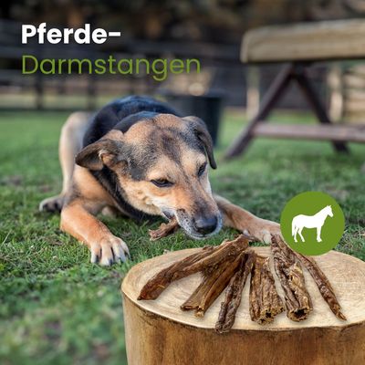 Kauartikel.com Pferde-Darmstangen