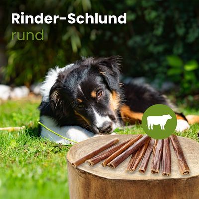 Kauartikel.com Rinder-Schlund, rund