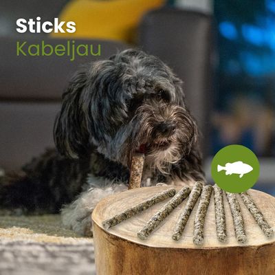 Kauartikel.com Kabeljau-Sticks