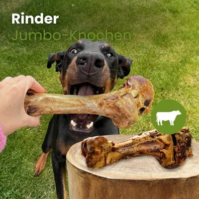 Kauartikel.com Rinder Jumbo-Knochen