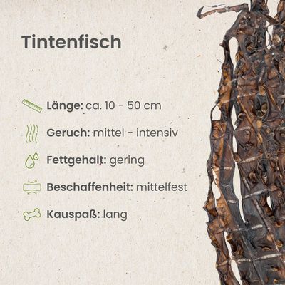 Kauartikel.com Tintenfisch
