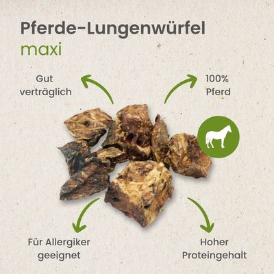 Kauartikel.com Pferde-Lungenwürfel Maxi