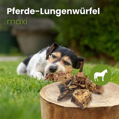 Kauartikel.com Pferde-Lungenwürfel Maxi