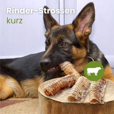 Kauartikel Rinder-Strossen, kurz Kauartikel Rinder-Strossen, kurz