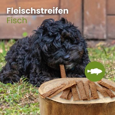 Kauartikel.com Fisch-Fleischstreifen