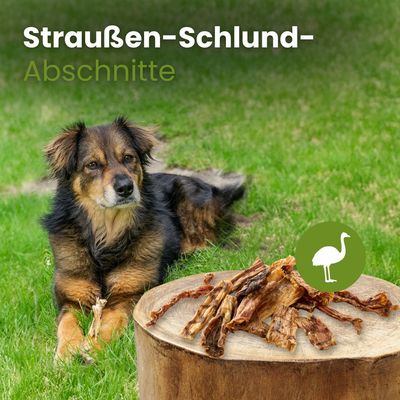 Kauartikel.com Straußen-Schlund-Abschnitte