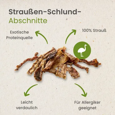 Kauartikel.com Straußen-Schlund-Abschnitte